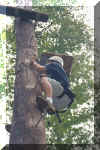Cope 02 Alex climbing.JPG (171908 bytes)