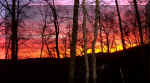 SUNRISE1230_CROPPED.JPG (244481 bytes)