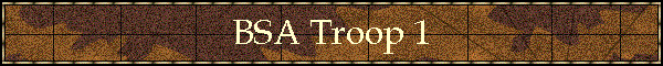 BSA Troop 1